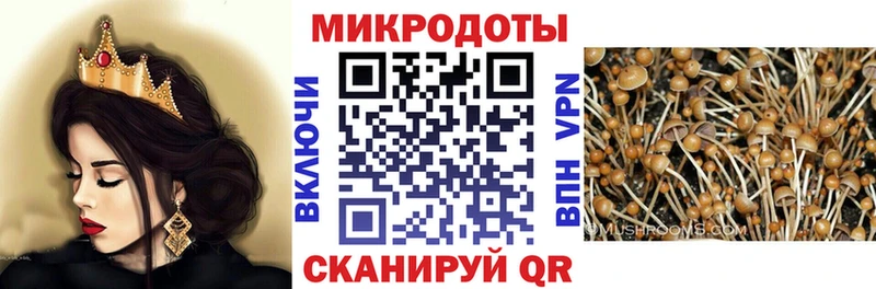 Псилоцибиновые грибы Psilocybe Николаевск